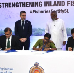 Japan Provides USD 3 Mn Through FAO to Strengthen Inland Fisheries in Sri Lanka