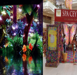 Spa Ceylon’s Immersive Butterfly Paradise Takes Flight
