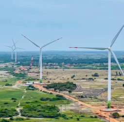 WindForce Soars to New Heights: Stellar Quarterly Performance