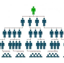 Central Bank of Sri Lanka bans 20 Pyramid Schemes