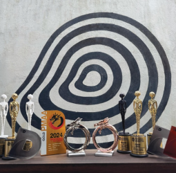 Magic Mango caps off another year of creative success by celebrating best award-winning campaigns