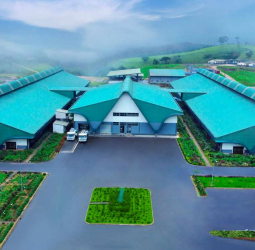 Ambewela Farms Achieves Record-Breaking Daily Milk Production of 60,000 Litres