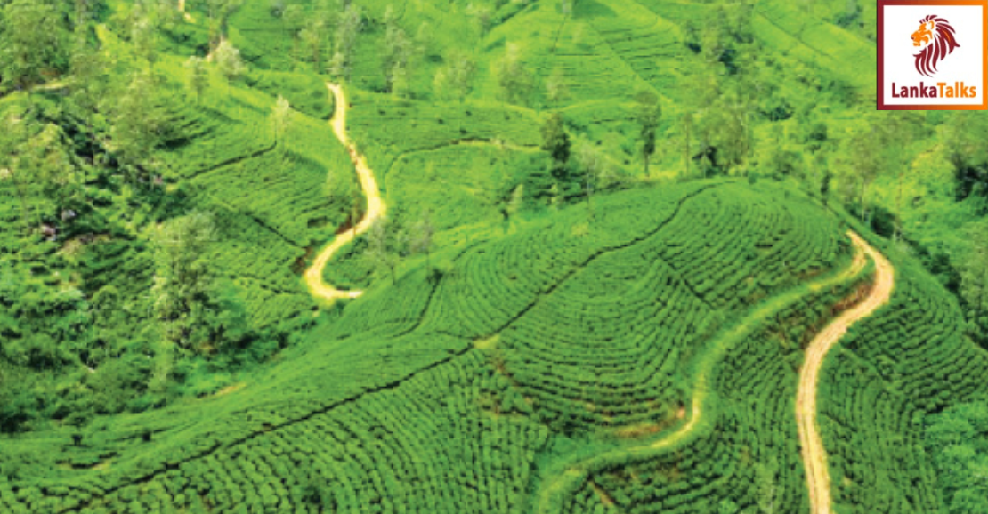 Pekoe Trail amongst Nat Geo’s top 20