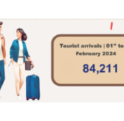 Over 84,000 tourists arrivals from Feb. 1-11