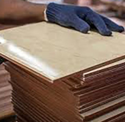 CDASL Raises Concerns Over Proposed Protectionist Measures in Sri Lanka’s Tile Industry