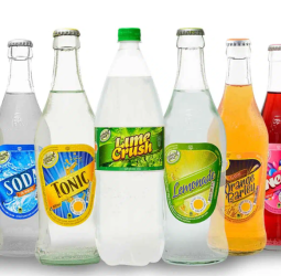 Elephant House to storm Indian shelves