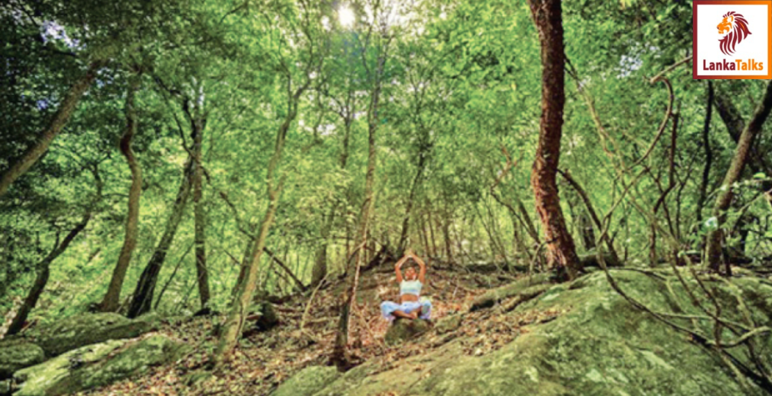 Tourism promotes SL as wellness destination in EU