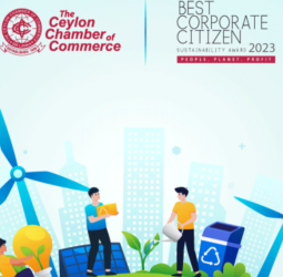 Record Number of Applications for BCCS Awards Reflect Corporate Commitment to Sustainable Development