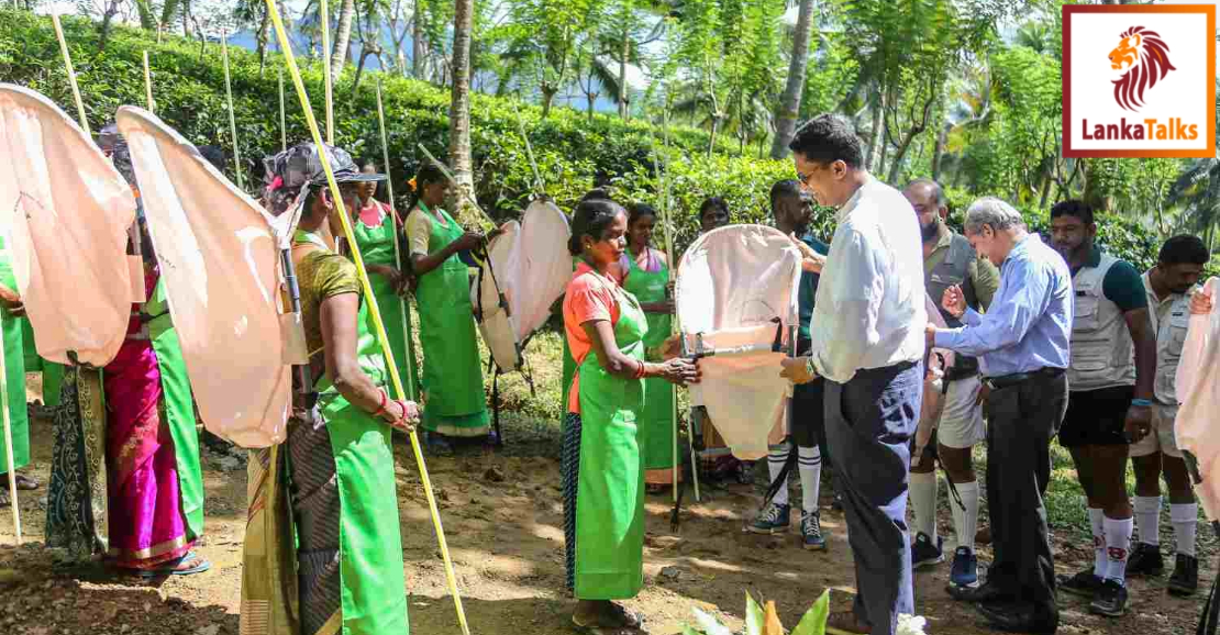 Beyond Plantations: Kahawatte's Holistic Approach to Sustainable Prosperity