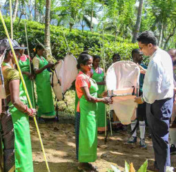 Beyond Plantations: Kahawatte's Holistic Approach to Sustainable Prosperity