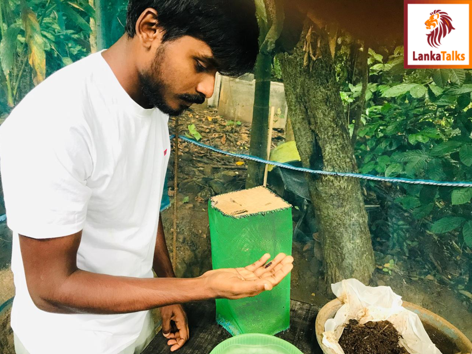 Eden Groups steps up to revolutionize the country’s poultry feed sector