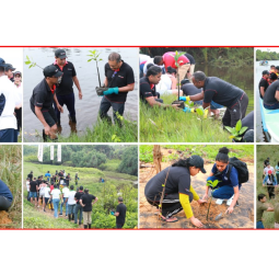 DFCC Bank Marks Environment and Oceans Day with Dual Projects for Ecosystem Conservation