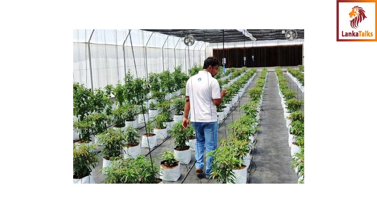 Govi.ai earns national acclaim as 2nd Runner-Up in Agri-tech Innovation at SLASSCOM Ingenuity Awards