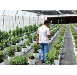 Govi.ai earns national acclaim as 2nd Runner-Up in Agri-tech Innovation at SLASSCOM Ingenuity Awards