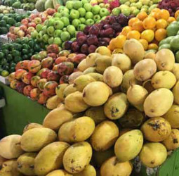 Seasonal Swings in Sri Lanka’s Mango Market: A Balancing Act with Economic Insights