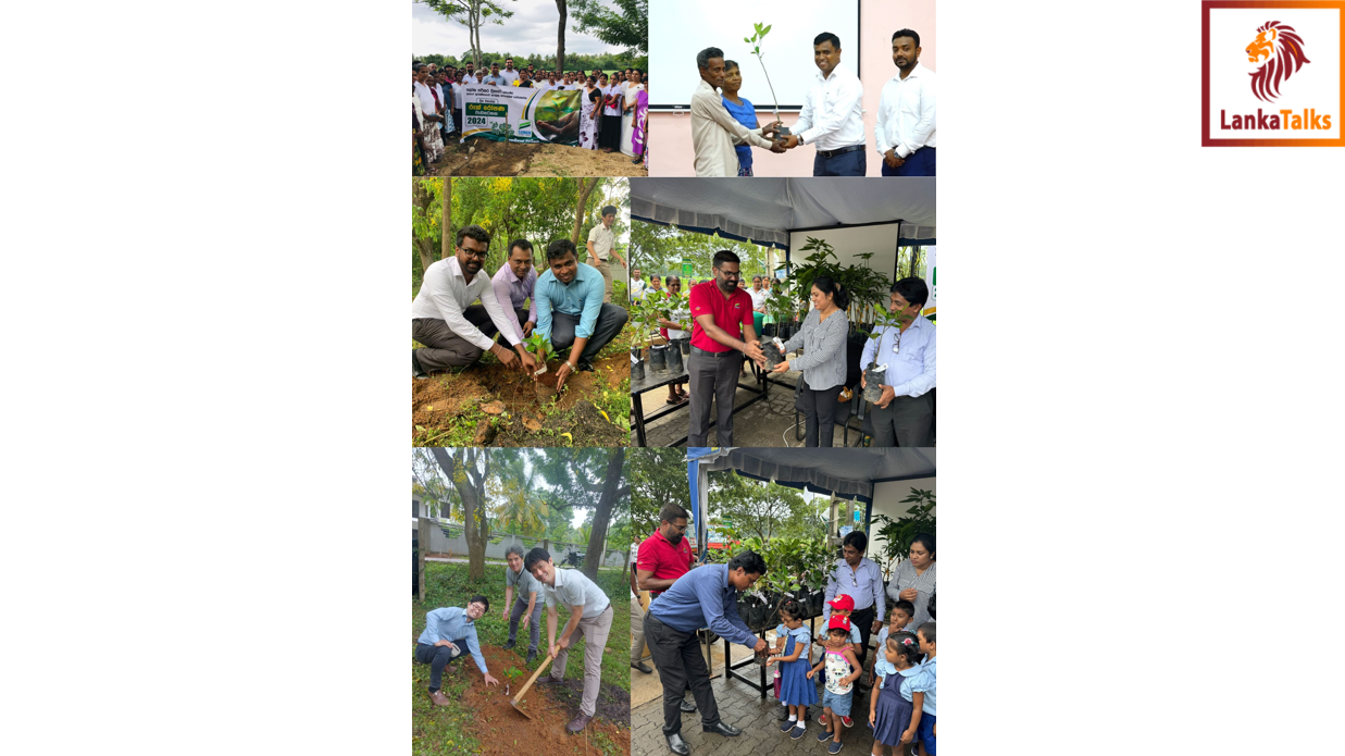 Lankem Agro Launches Nationwide Tree Planting Initiative for World Environment Day
