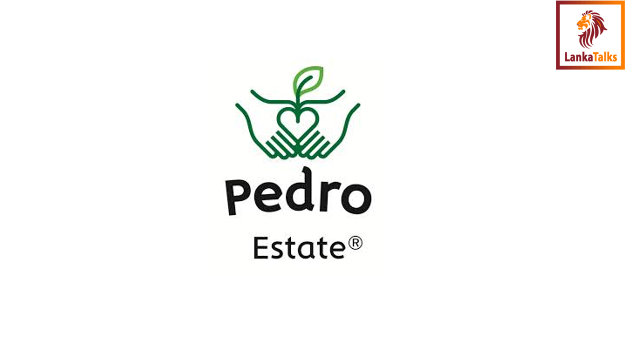 PA demands immediate action against Minister Thondaman's Violent Actions at Pedro Estate