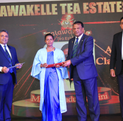 Sri Lanka’s Tea Titans, Talawakele Tea Estates PLC, sets global gold standard in plantation innovation