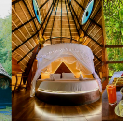 Youth creates sensation in tourism arena by obtaining a patent for Igabara Resort Rekawa, first Hobbit House in Sri Lanka