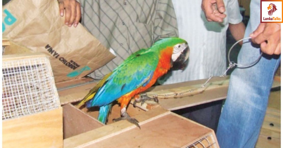 WNPS’ monthly lecture on bio-piracy at BMICH on November 21