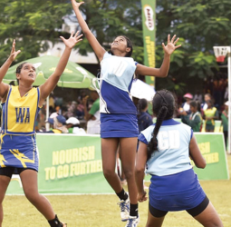 Milo Schools Netball finals today