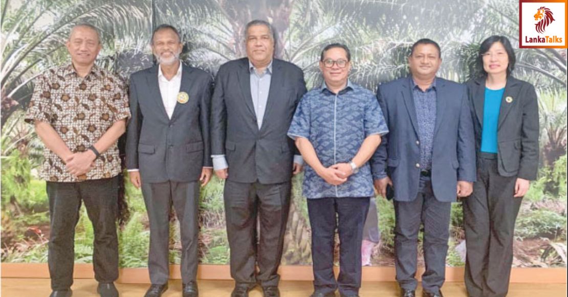 Measures to promote sustainable palm oil practices among countries