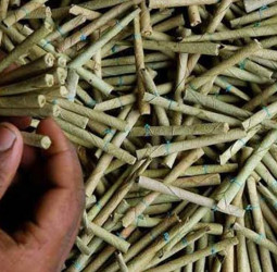 The Onslaught of the Beedi Industry and its Impact on Sri Lanka’s Economy