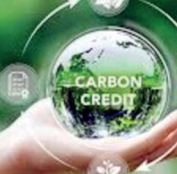 SEC to include carbon credits in multi-asset derivatives exchange plan