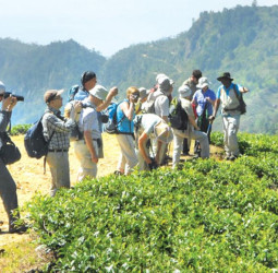 Tourist earnings surpass USD 2.34 Bn mark by Sept. eclipsing total 2023 figure