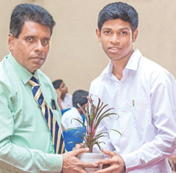 Project to conserve one million endangered plants