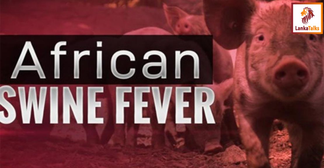 Virus may have entered through imported pork from airports and ports