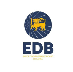 EDB and Qatar Sri Lanka Business Council hold discussions on enhancing trade opportunities