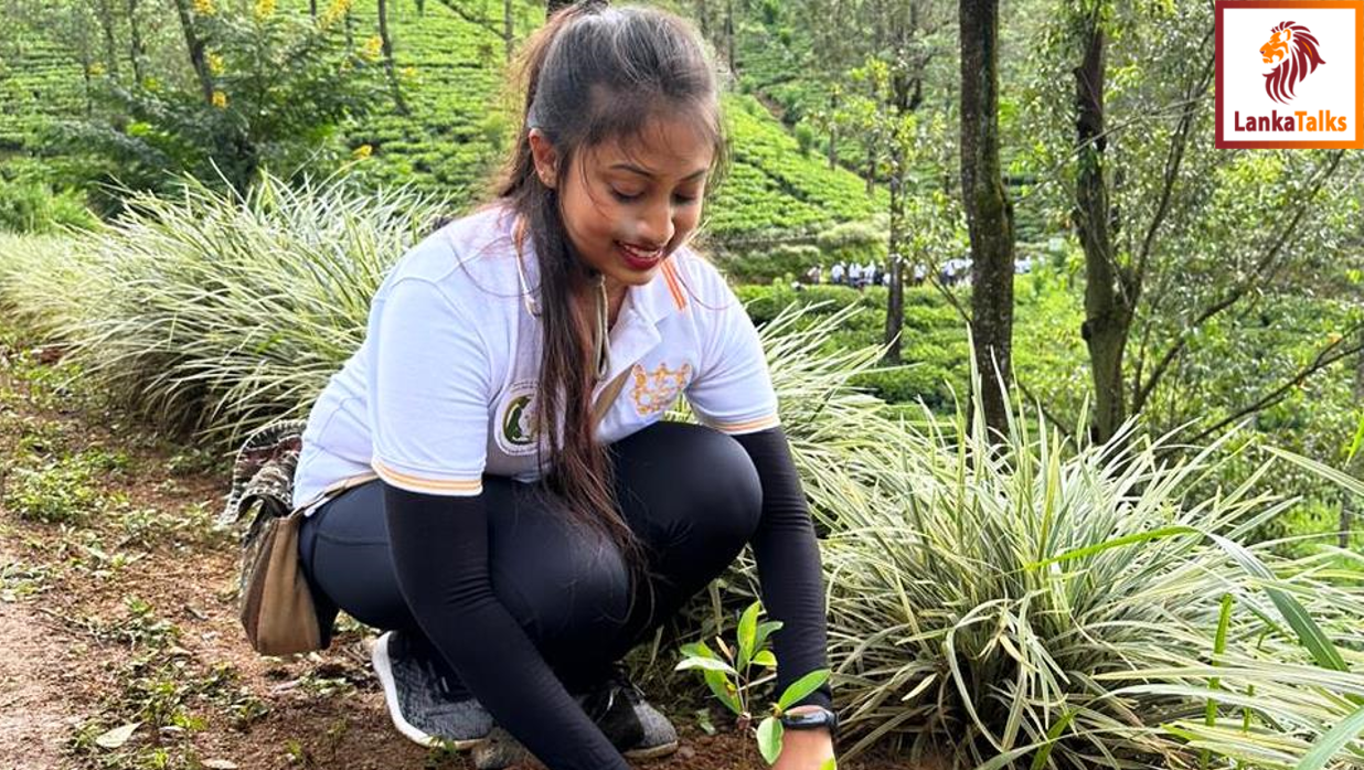 The Grand Kandyan celebrates a decade of success with a tree planting campaign