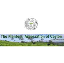 Planters’ Association of Ceylon welcomes new leadership of Sri Lanka; calls for collaborative efforts to transform the plantation sector