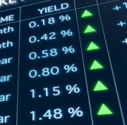 Sri Lanka rupee opens stronger at 300.40/60 to US dollar, bond yields up