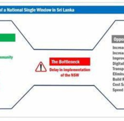 National Single Window: A Game-Changer for Sri Lanka’s Trading Community