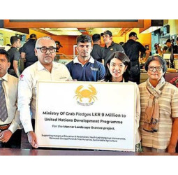 Ministry of Crab partners with UNDP Sri Lanka to advance mangrove conservation