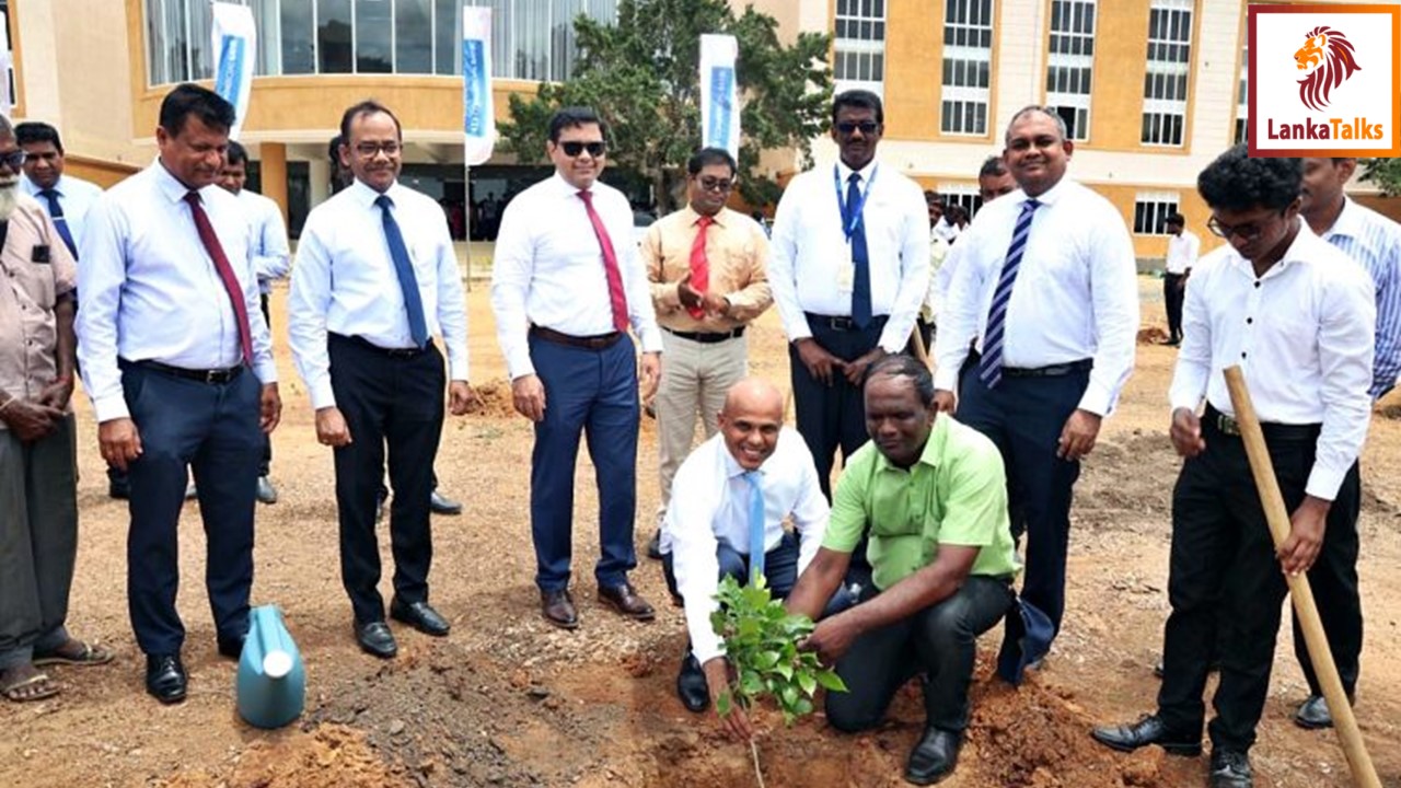 ComBank commences planting 10,000 trees in Kilinochchi and Jaffna districts