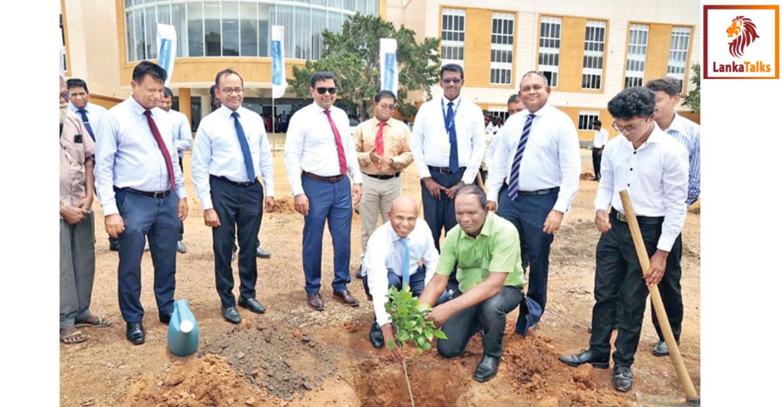 ComBank embarks on tree planting project in Kilinochchi and Jaffna districts