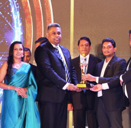 Calton wins National Industry Brand Excellence Award