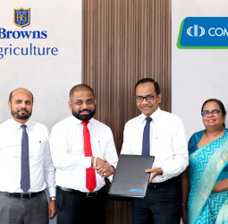 ComBank partners with Browns to modernise agriculture by empowering farmers