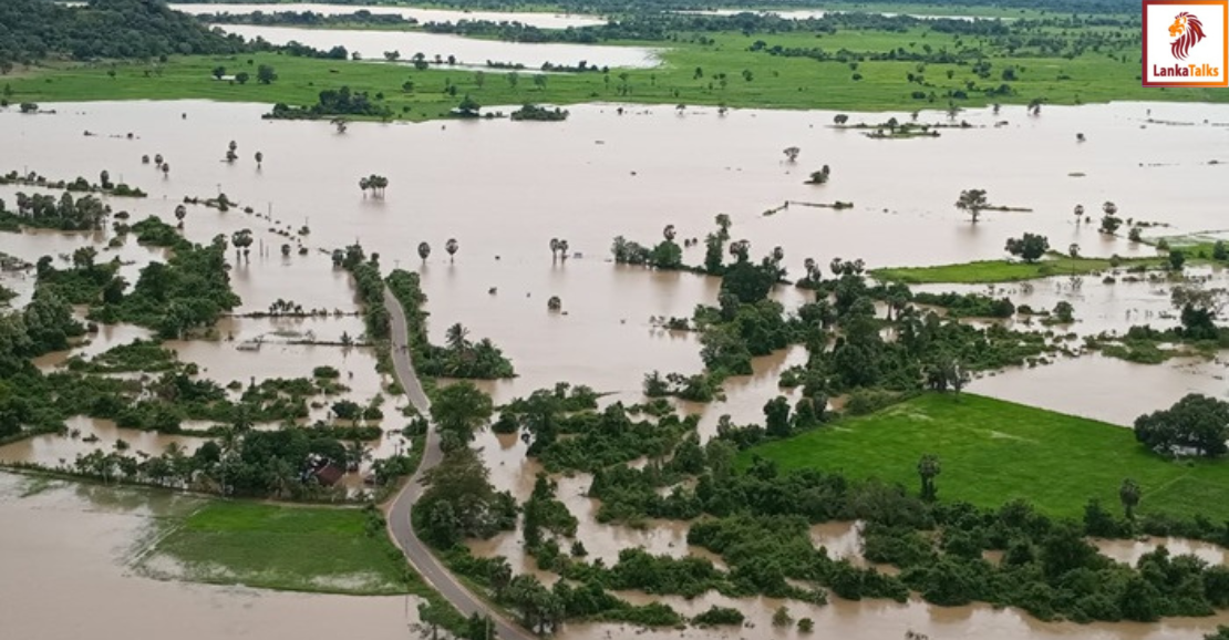 Govt to expedite crop damage claims for farmers