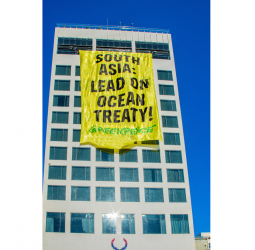 South Asia States to Lead on Global Ocean Treaty