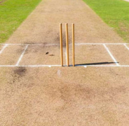 Joes lead Petes on first innings