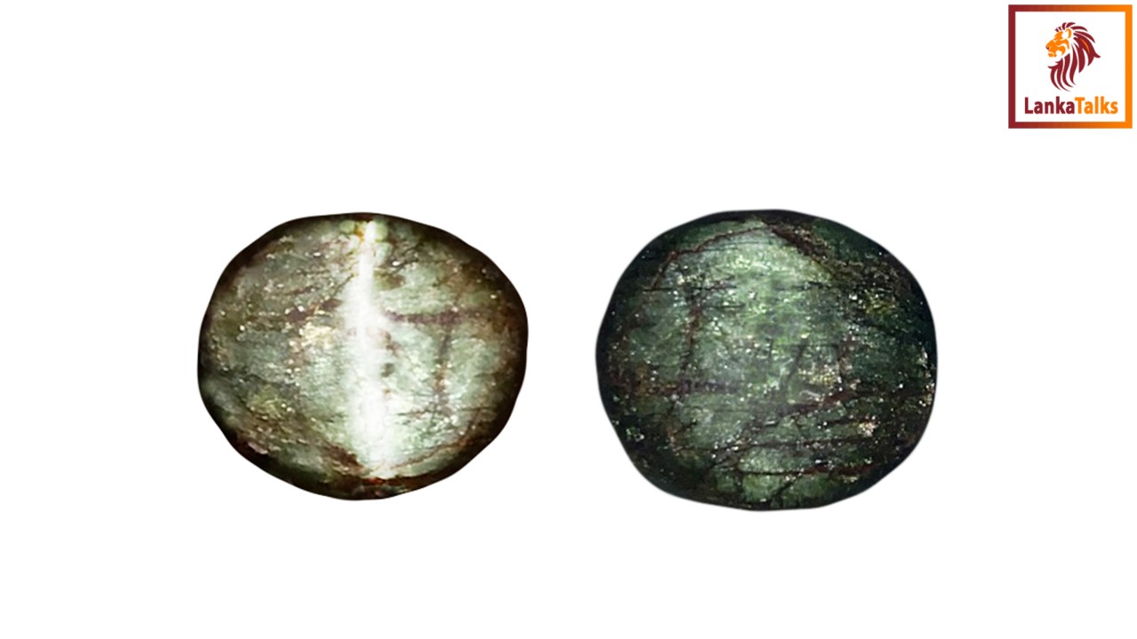 TGL GemLab Sri Lanka unveils world’s first Cat’s Eye Xenotime in Kuruvita, Ratnapura