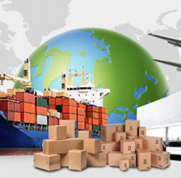 Sri Lanka Apparel achieves 5% export growth in 2024, Eyes in-country verticality to enable growth