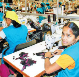 Sri Lanka Apparel achieves 5% export growth in 2024