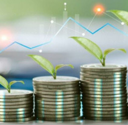 Expansion in PMI and GDP growth, signal of economic recovery