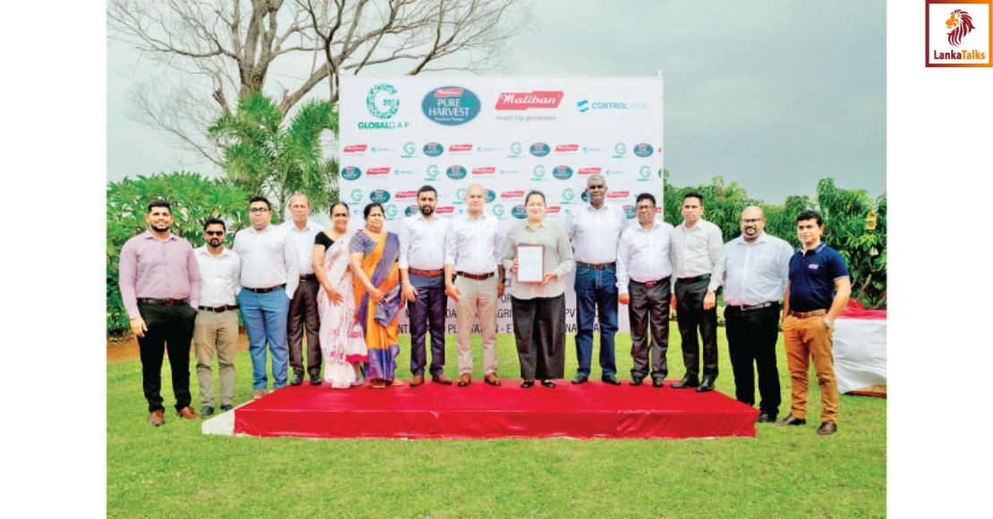 Maliban achieves GLOBAL G.A.P Certification in agricultural practices