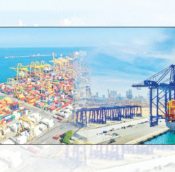 Port of Colombo achieves record growth in 2024